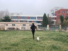 -趣玩宠物乐园寄养训犬训狗游泳池