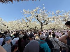 -江苏三台山国家森林公园