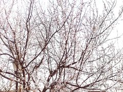 -三里河公园