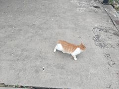 -北京天湖会议中心