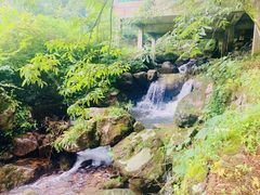 -藏龙百瀑风景区