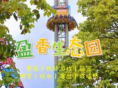 -盈香心动乐园