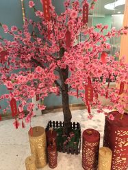 -致友月子会所(麓湖店)