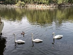 -石家庄市动物园