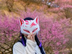 -新建村梅花