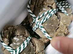 公母蟹五对/箱-巴城蟹园(阳澄湖蟹舫苑店)