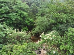 -大明山自然探索公园