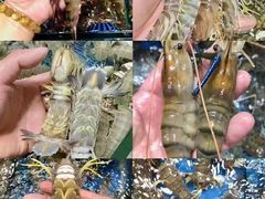 -南湾海鲜餐厅(南澳海鲜街店)