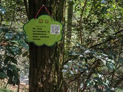 -云碧峰国家森林公园