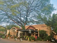 -Cheevit Cheeva(Sirimangkalajarn)