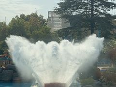 -杭州乐园
