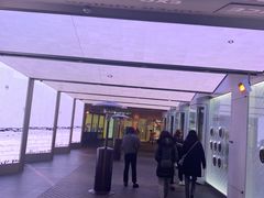 -乐天免税店(明洞店)
