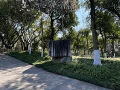 -大渡口区义渡公园