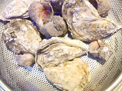 -船梆煮•蒸汽海鲜·生腌干蒸(五四广场店)