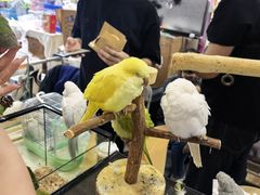 -重庆国际会议展览中心