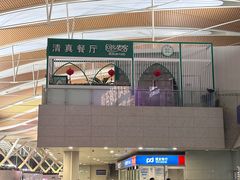 -上海浦东国际机场-T2航站楼