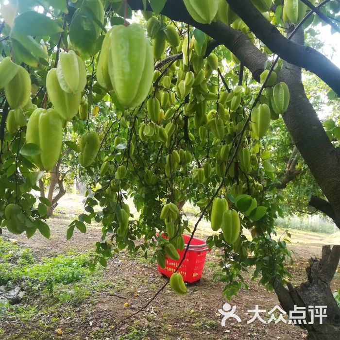 美林湖孔雀园
