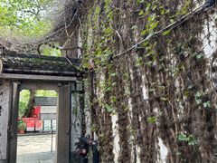-院子餐厅·大锅菜·老杭帮(桥西直街店)