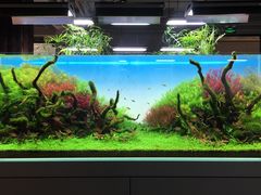 -ADA自然水景世界