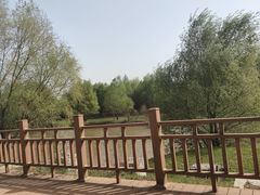 -伊犁河景区