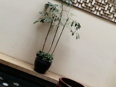 -国御温泉度假小镇