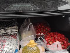 -江杨农产品批发市场