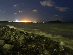 -宝安西湾红树林湿地公园