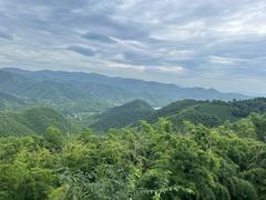 -莫干山风景区