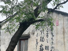-绍兴书圣故里景区