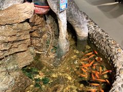 -哈老太太(联盟路店)