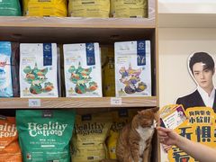 -四月宠物医院·猫专科·心脏专科·内科(转塘店)