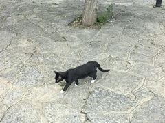 -云龙山