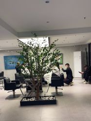 -付军剪艺JF ProSalon