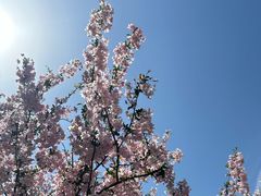 -圆融购物中心(南天成路店)