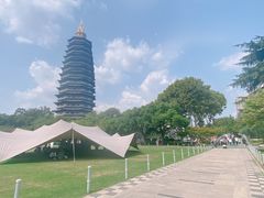 -红梅公园