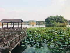 -上海市保健医疗中心