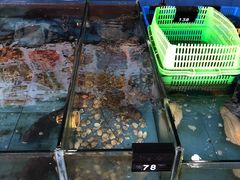 -七鲜渔港美食餐厅(巽寮湾海景店)