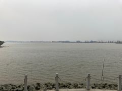 -海鸥岛