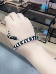 -Moni星球萌宠·小马宝莉·灵蛇·高端高阶全萌宠互动体验俱乐部(红豆国际广场店)