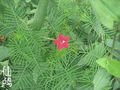 -仙山谷激浪漂流