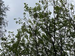 -蜀冈西峰生态公园