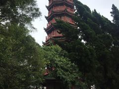 -南沙天后宫景区