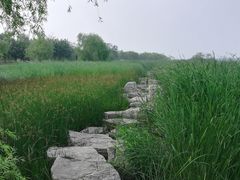 -绿堤公园