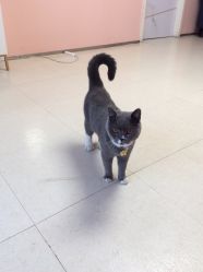 -Pink You美甲美睫纹绣定制中心