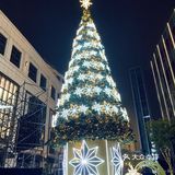 今年嘉里中心的圣诞树打卡了吗～