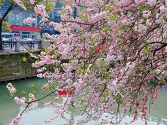 -南通濠河风景名胜区