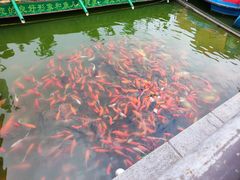 -莲湖公园