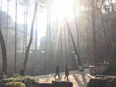 -忠山公园