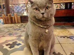 -动动咖啡清真西餐厅