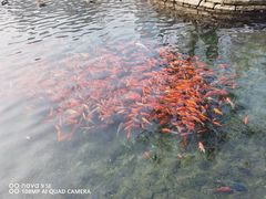 -水磨沟公园